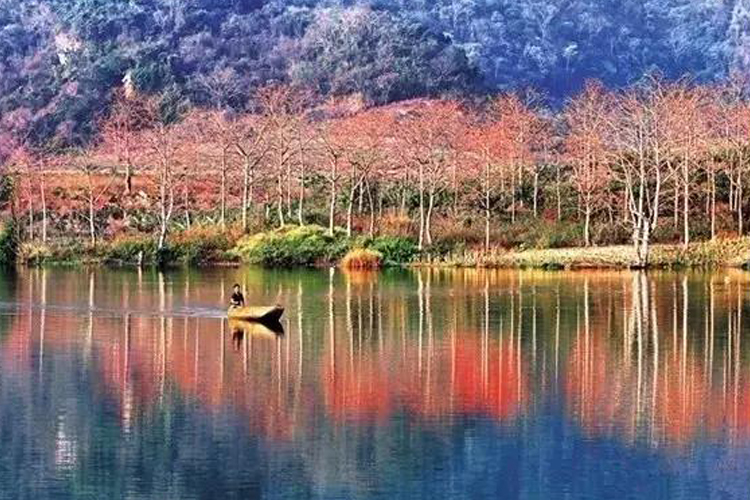 湿地公园