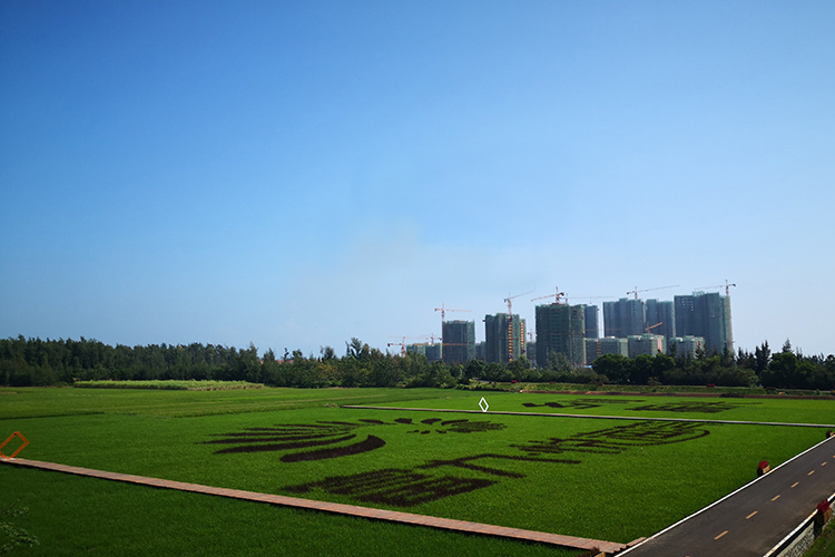 富力悦海湾实景图