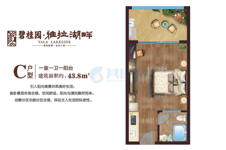 C户型-一房一厅-建面约43.8平