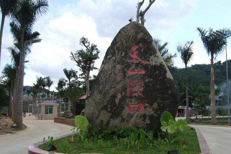 天山丽田