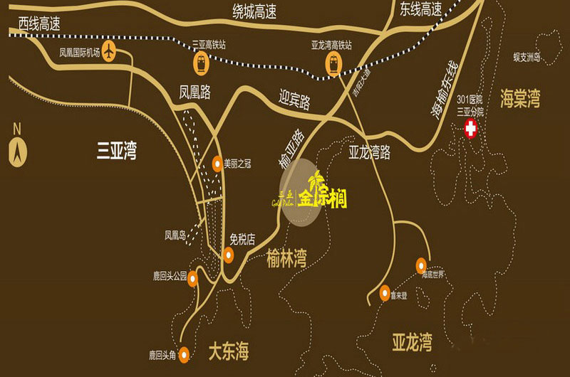 金棕榈