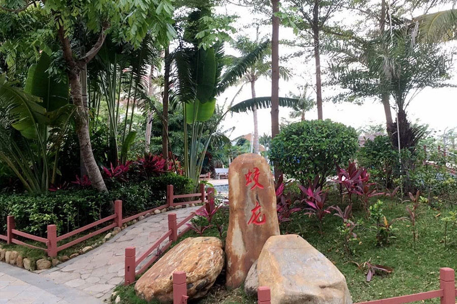龙沐湾太阳城