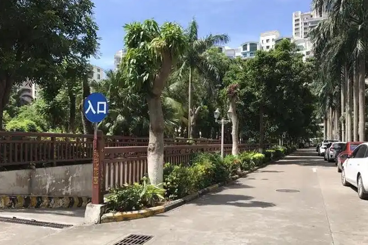 现代花园