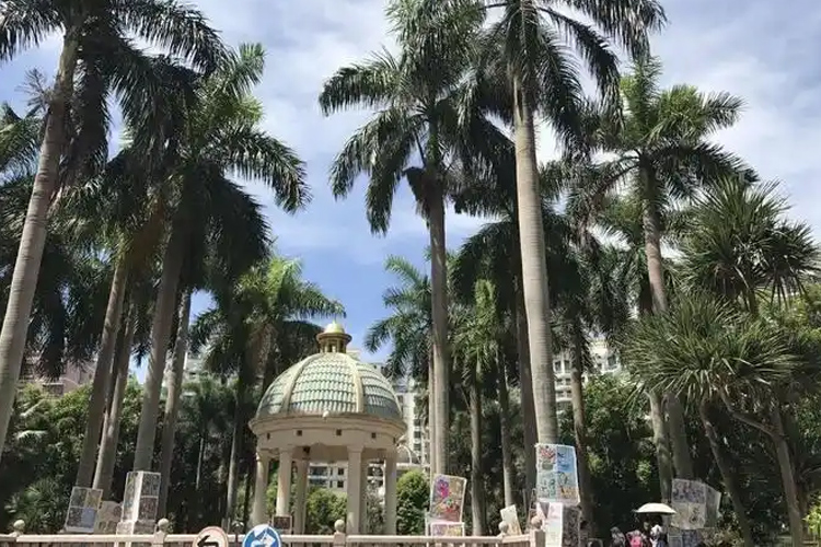 现代花园