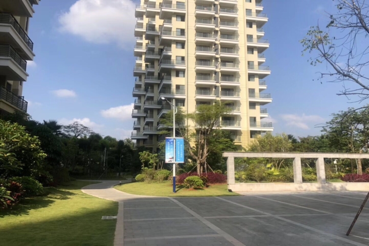 海的理想实景图
