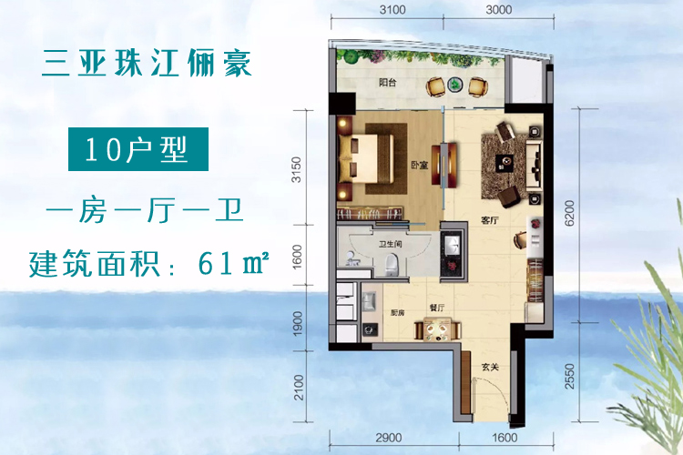 珠江俪豪10户型1室1厅1卫