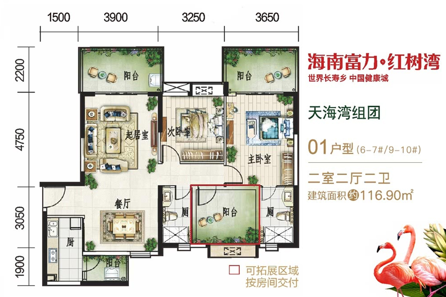 天海湾-01户型-建面约116.90平-两房两厅