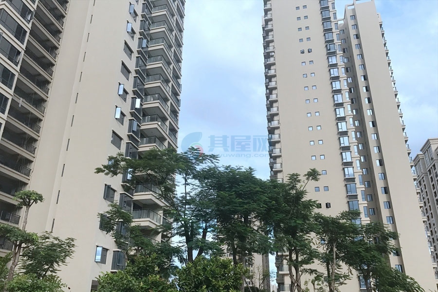 山林君悦-实景图