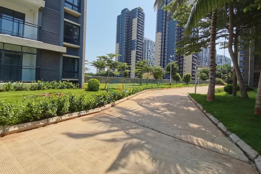双杰蓝海国际-实景图