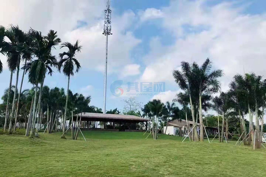 雅居乐紫航一号-实景图