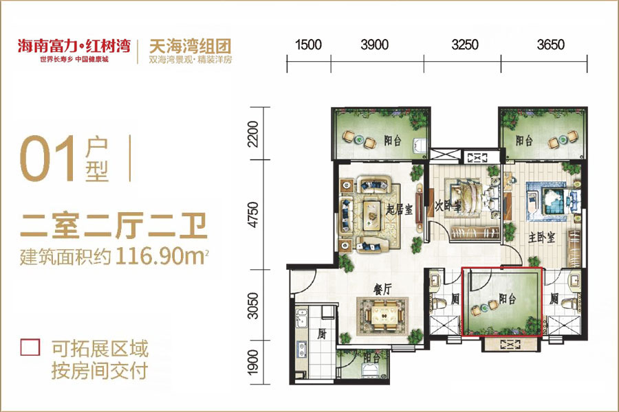 01户型-建面约116.90㎡-两房两厅两卫