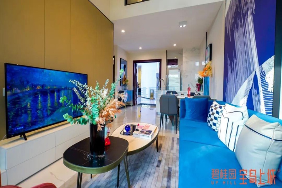 碧桂园宝岛上城-样板展示图